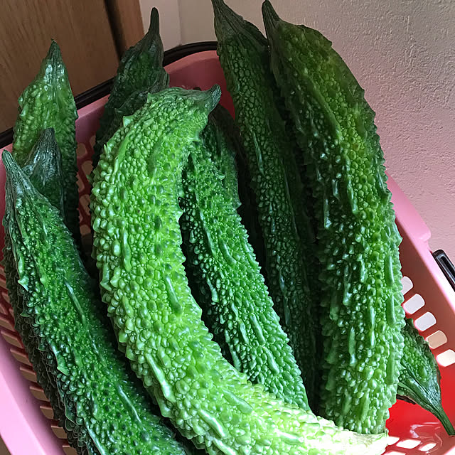 akoさんの実例写真