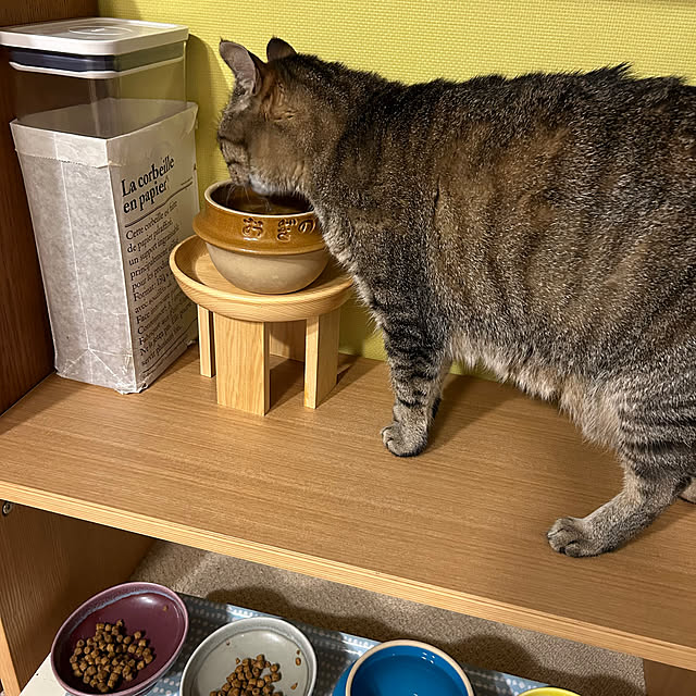 mikomaruさんの部屋