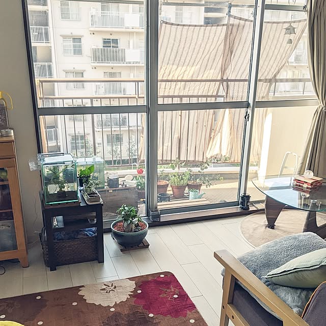 mi-saさんの部屋