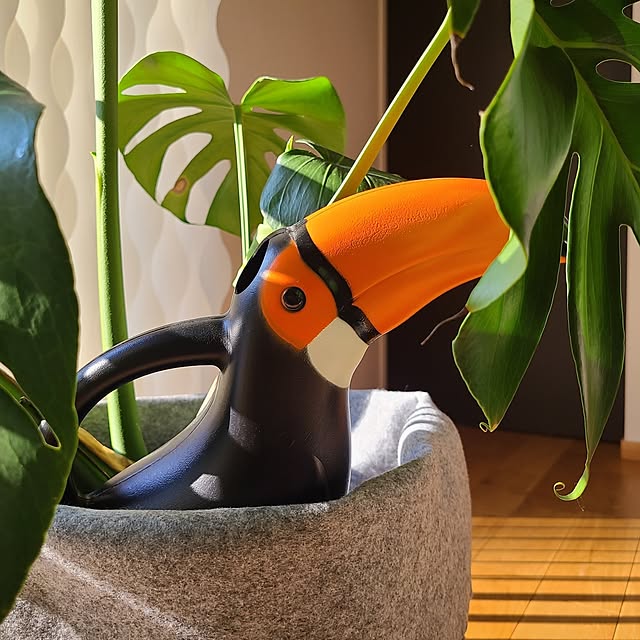 Rubiconさんの部屋