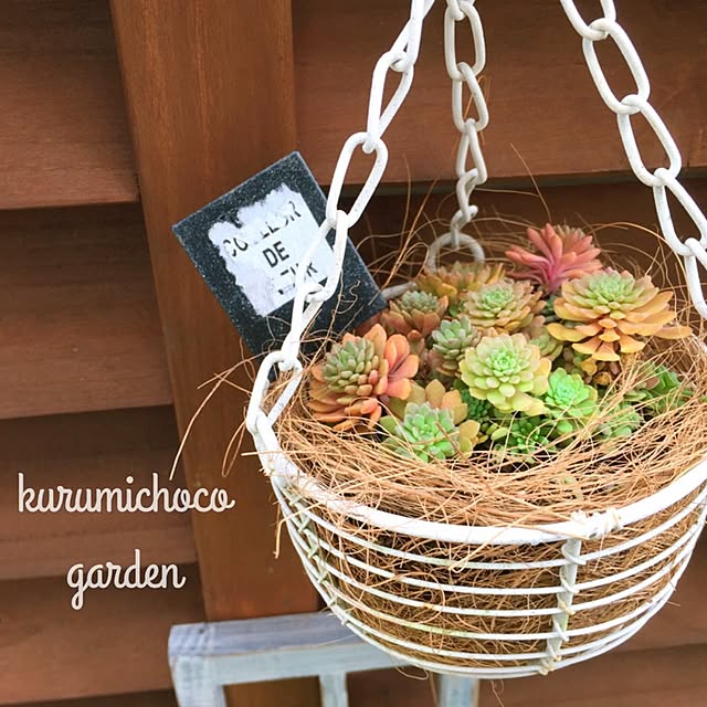 kurumichocoさんの実例写真