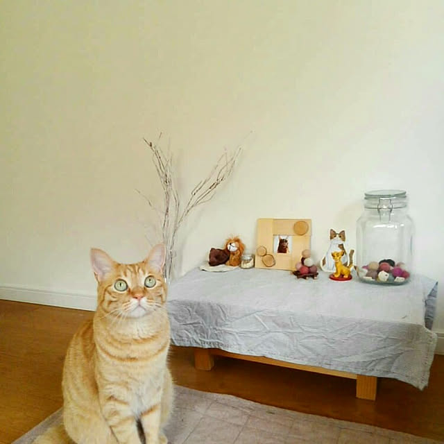 mayutan.さんの実例写真