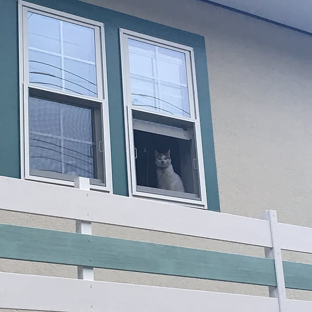 nyancohomeさんの実例写真