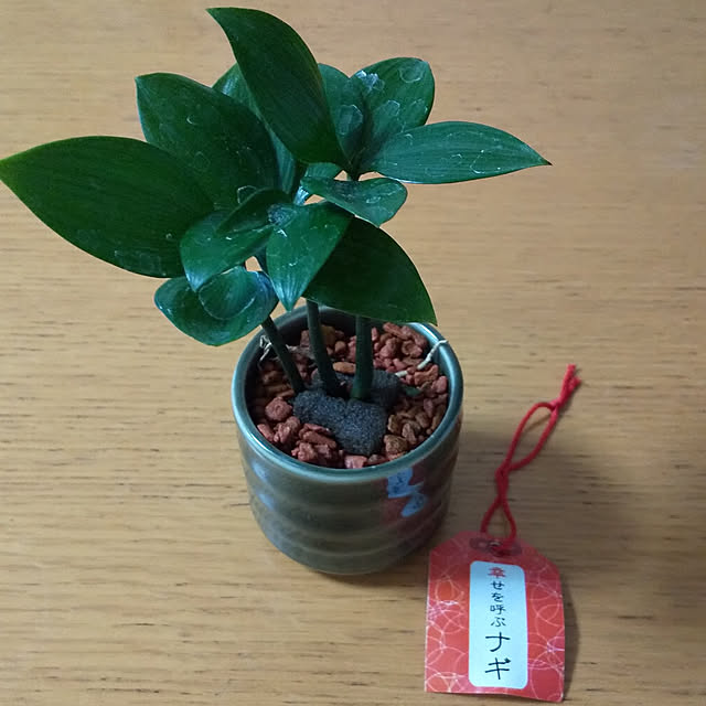 akichiさんの実例写真
