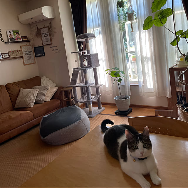 Akiさんの実例写真