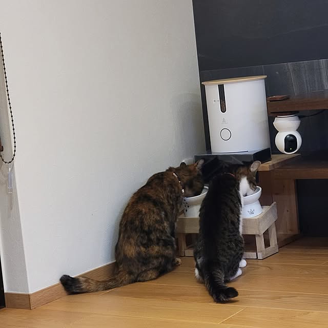 natuさんの実例写真