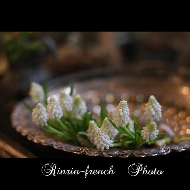 Rinrinfrenchさんの実例写真