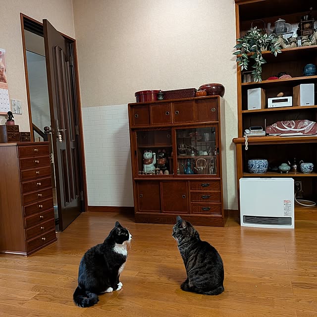 Mayumi8888さんの実例写真