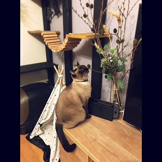 rikkanさんの実例写真