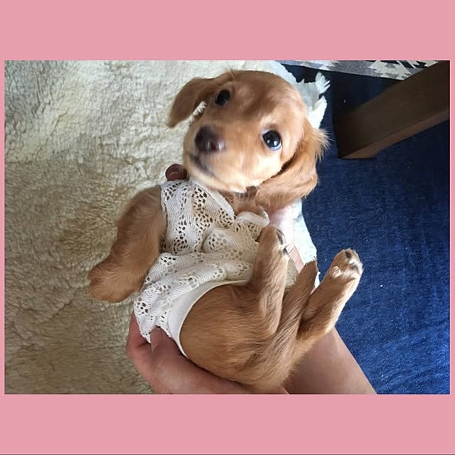 runaさんの実例写真
