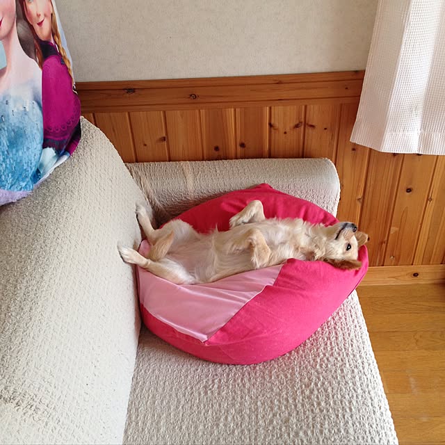 b__r__cさんの実例写真