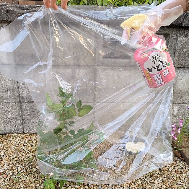 PEROさんの実例写真