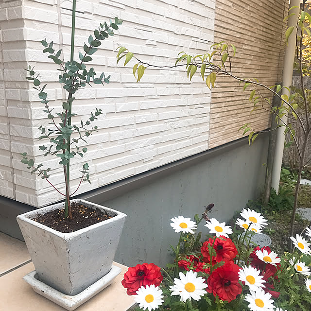 Saaさんの実例写真