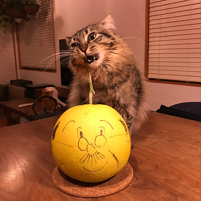 sakurasakuさんの実例写真