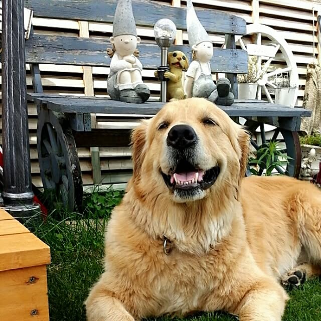 K.S.Rさんの実例写真