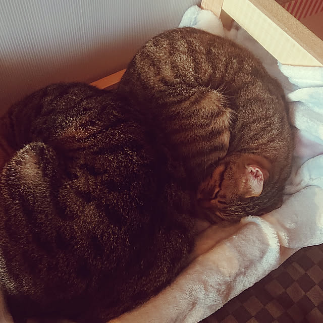 ayabooohさんの実例写真