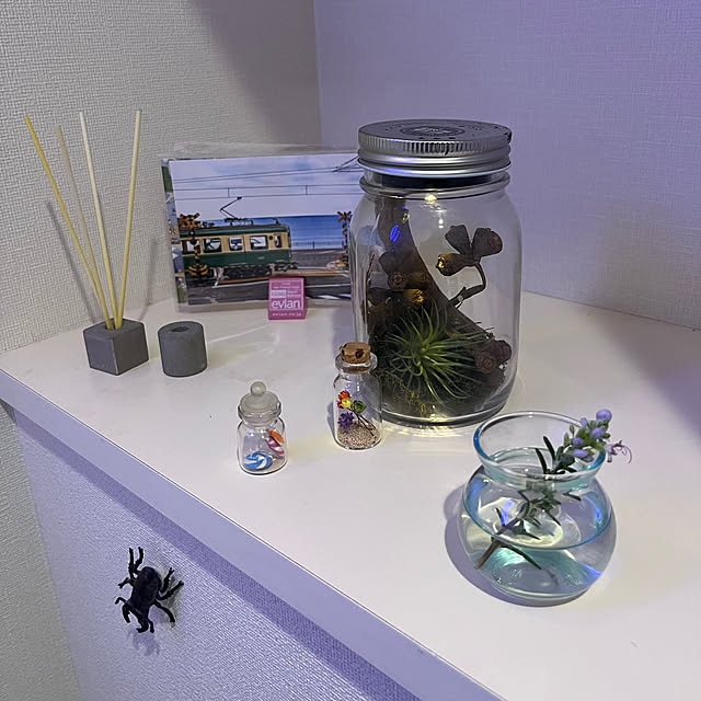 yuzuumeさんの実例写真