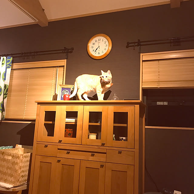 hanaさんの実例写真