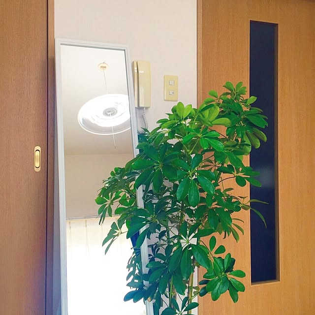 mai.hさんの実例写真