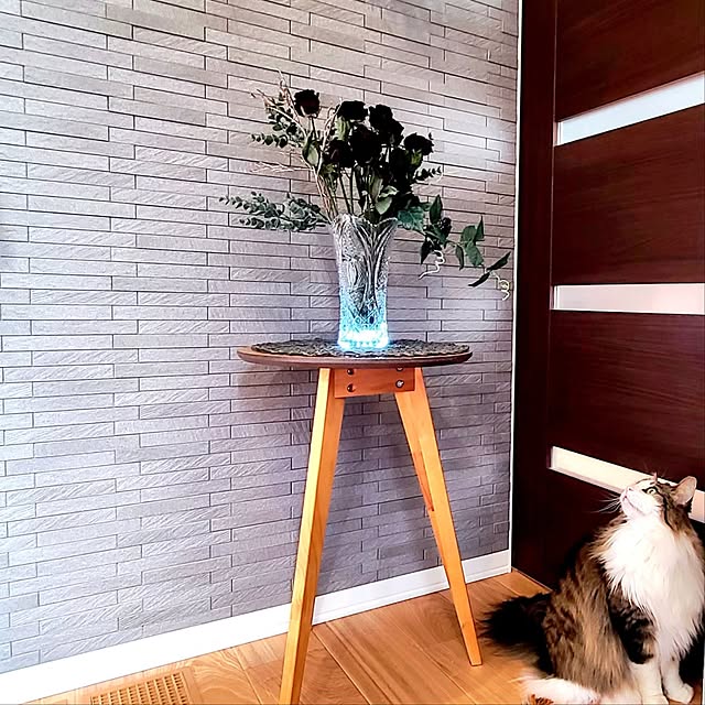 akiko6193さんの部屋