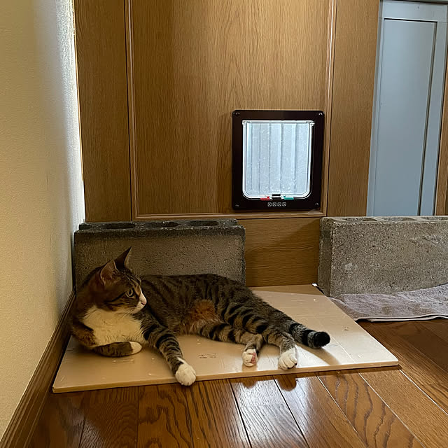nobikoさんの部屋