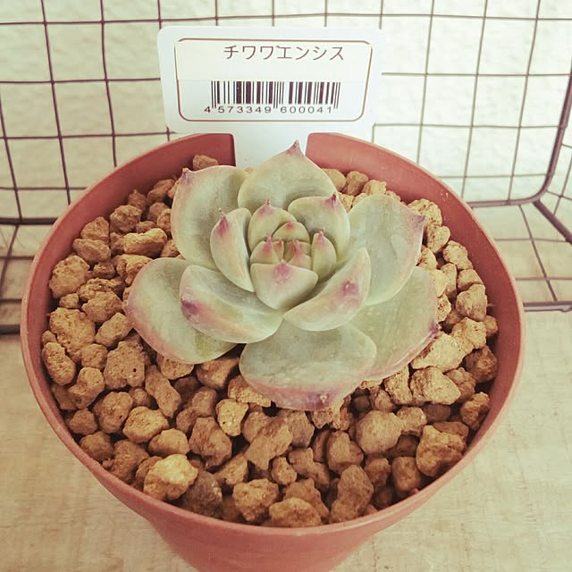 VERANDARJUNさんの実例写真
