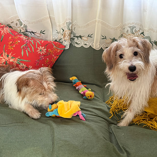 uzuraさんの部屋