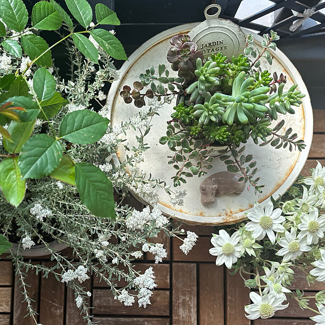 naokoさんの部屋