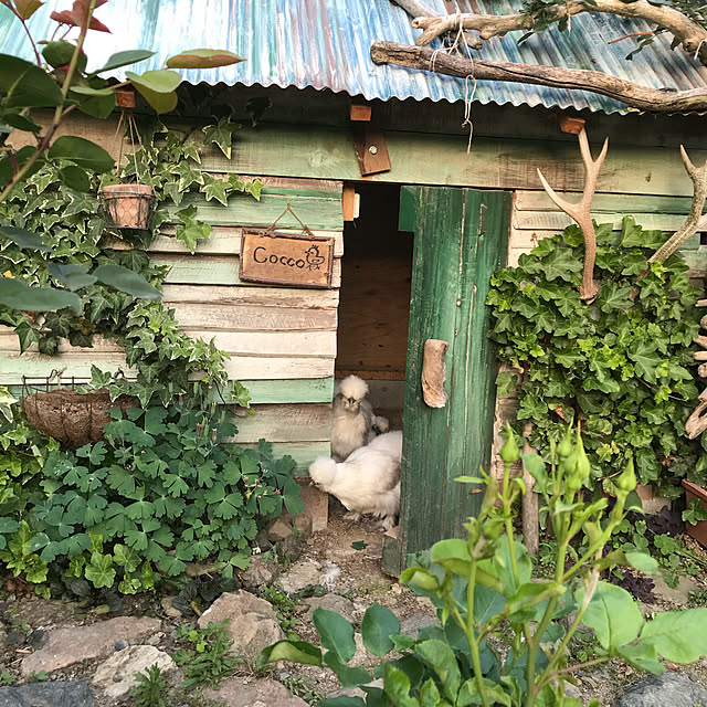 pepeさんの実例写真