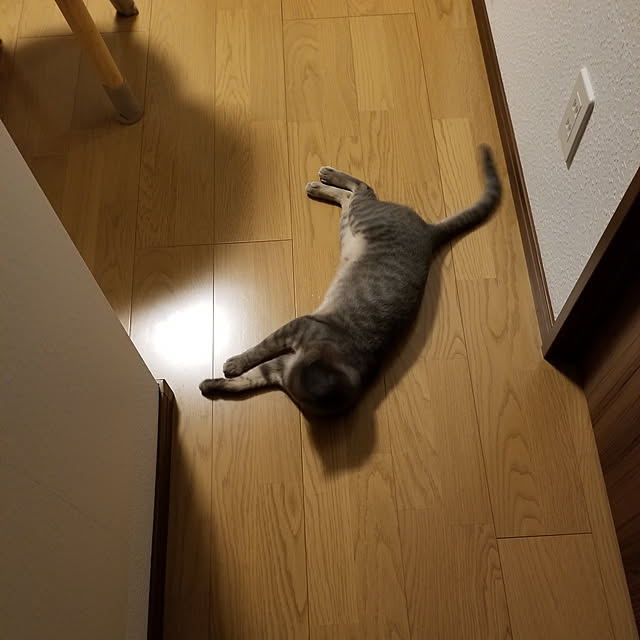 yukiさんの実例写真