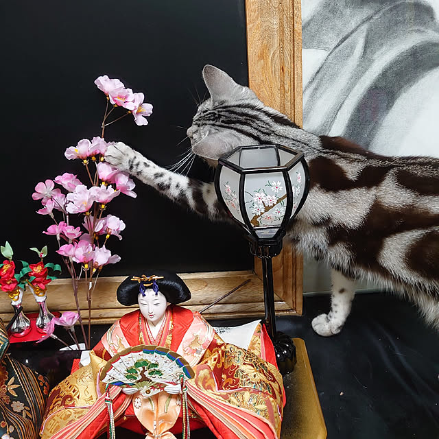 CatClipさんの実例写真