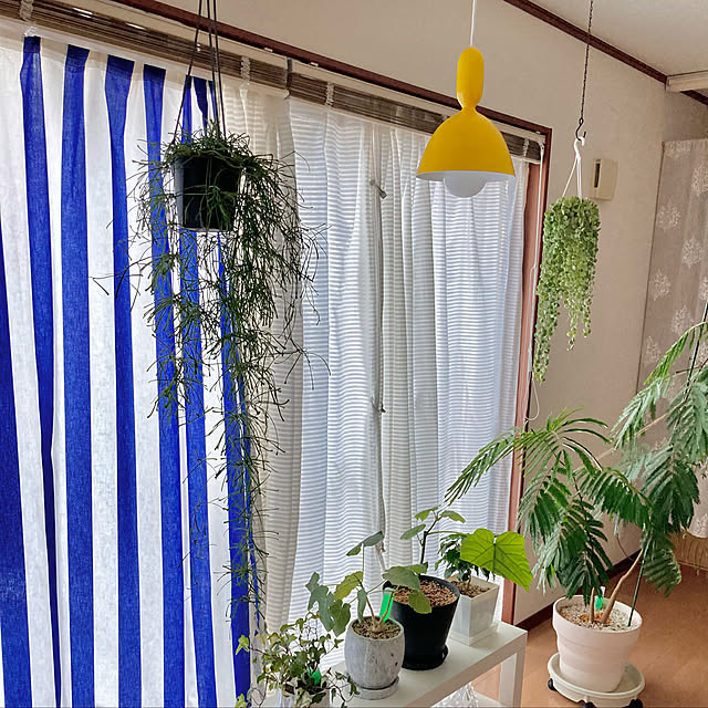65-24oxoさんの実例写真