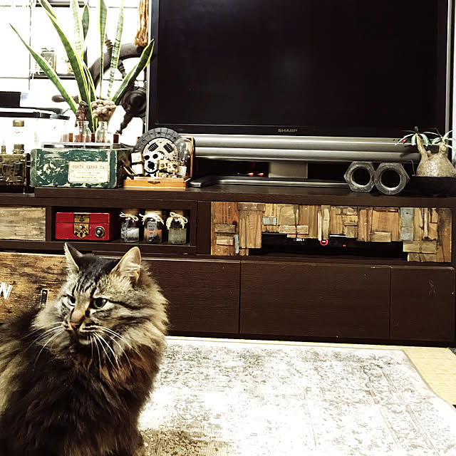 amさんの実例写真
