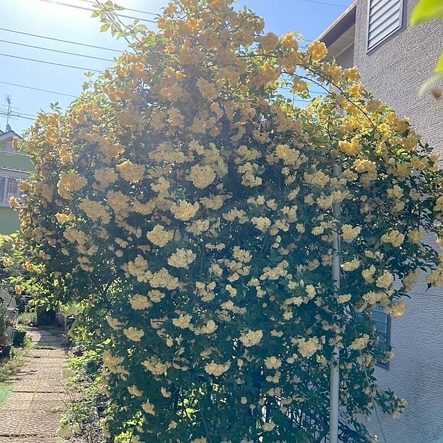 min_nimさんの部屋