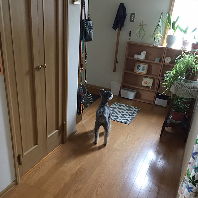Mahoさんの実例写真