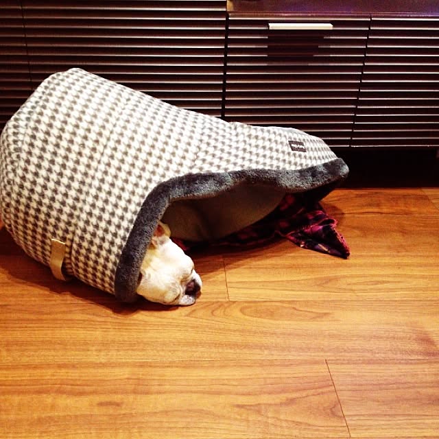Komanechi.aさんの実例写真