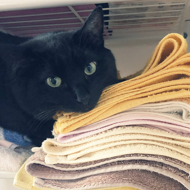 nyaさんの部屋