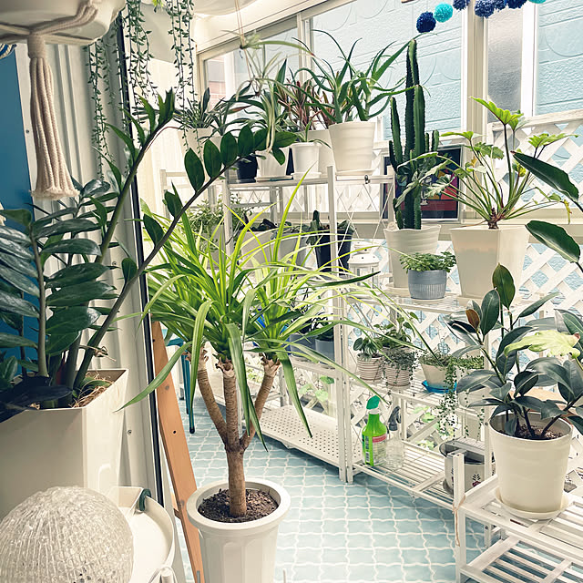 kanakoさんの部屋