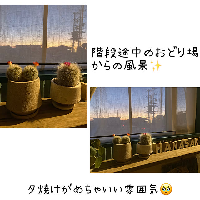 mkk8739hanasakuさんの実例写真
