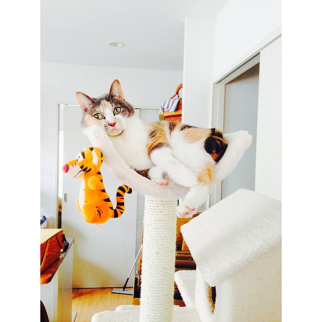 ATmさんの実例写真