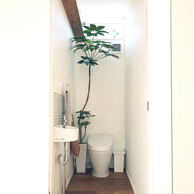 観葉植物/北欧/観葉植物/家づくり/癒し...などのインテリア実例 - 2020-03-13 23:06:20