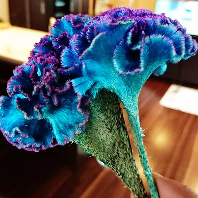 cocosorasakuさんの実例写真