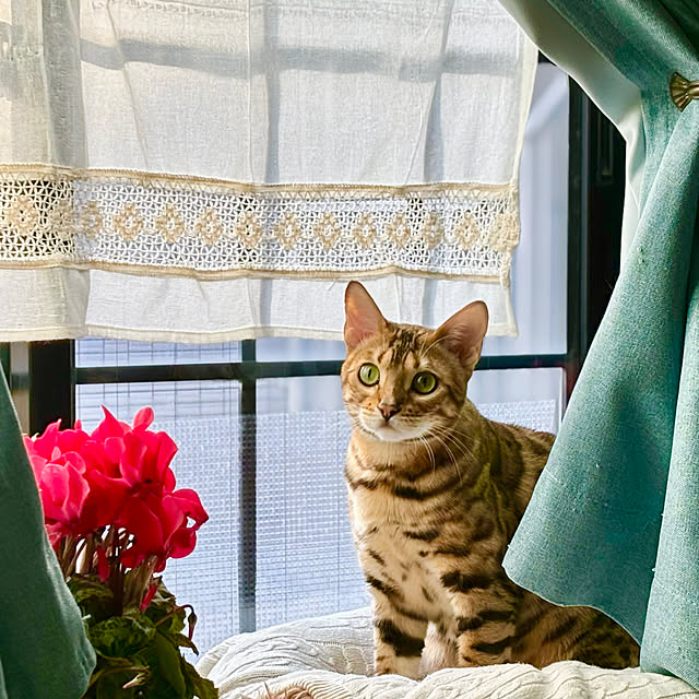 tututu0204さんの部屋