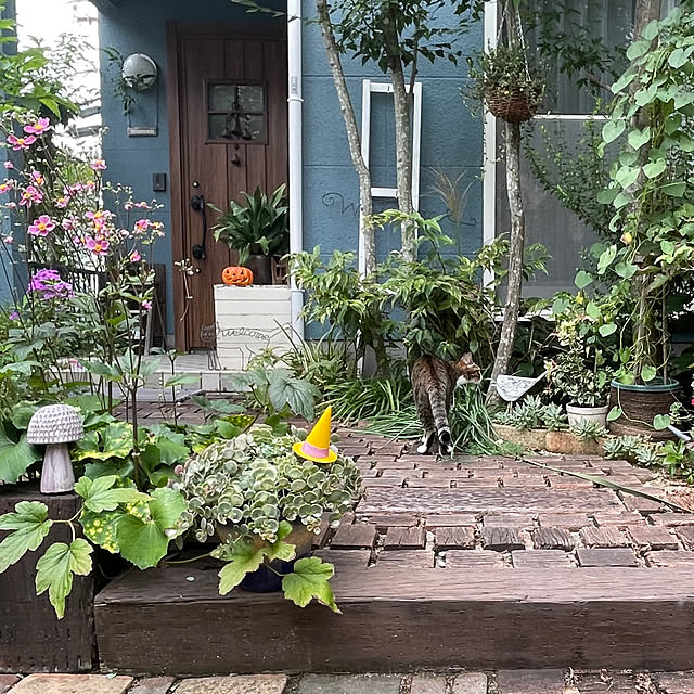 nobikoさんの部屋