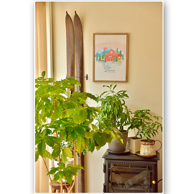 mikigumaさんの部屋