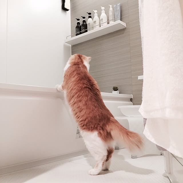 Reikoさんの実例写真