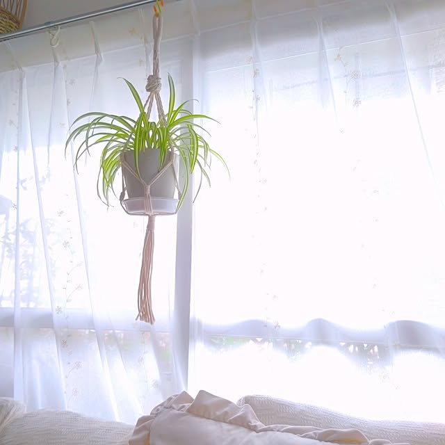 mariaさんの実例写真