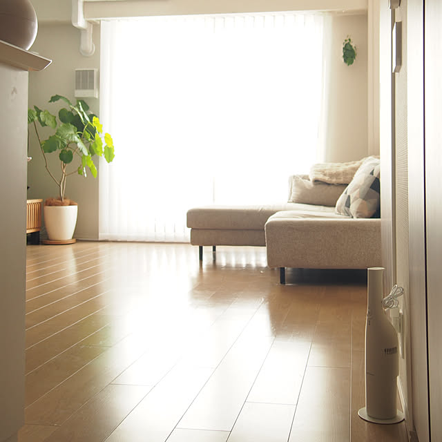 chikoさんの実例写真