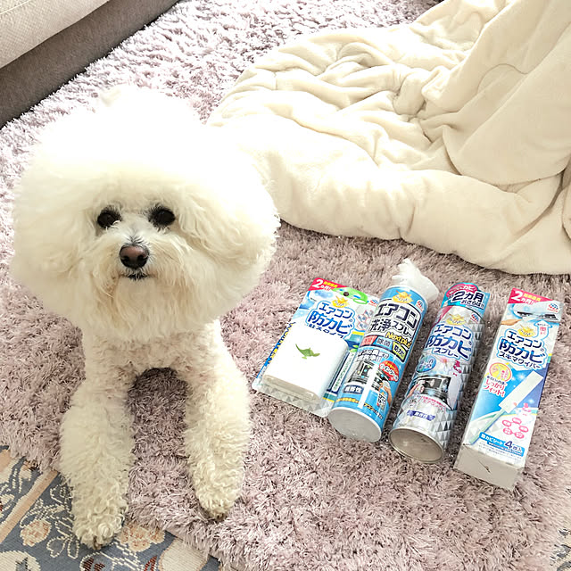 unichanさんの実例写真