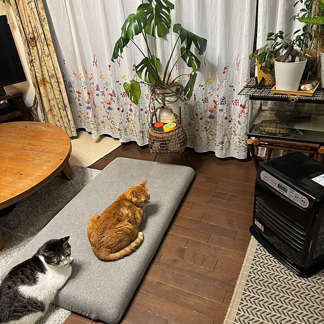 okyosan101さんの部屋